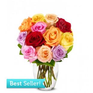 One Dozen Rainbow Roses